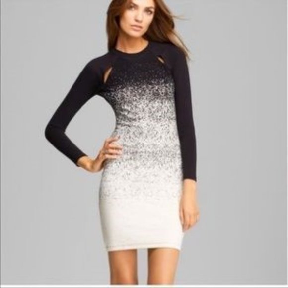 French Connection Dresses & Skirts - French Connection Dusted Black and Cream Ombre Jersey Dress (2)